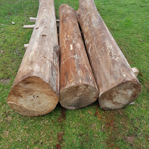 Raw balsa wood LOGS or trees or branches