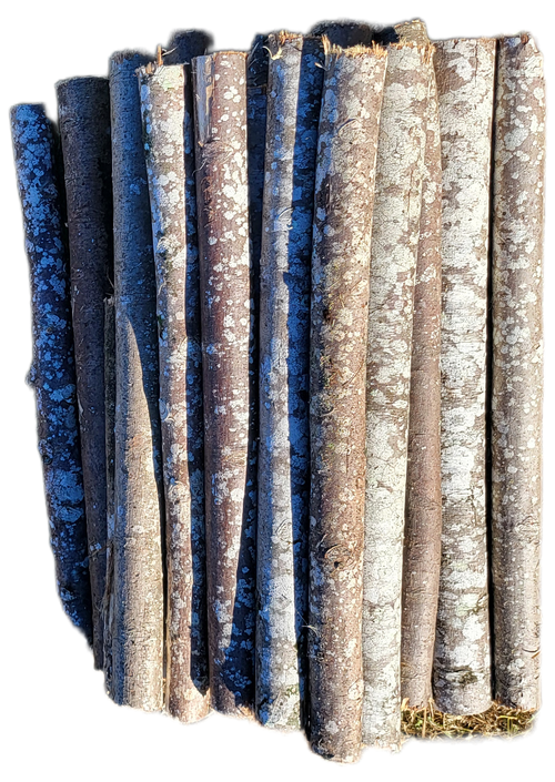 30mm to 80mm Balsawood Branches
