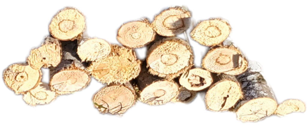 30mm to 80mm Balsawood Branches