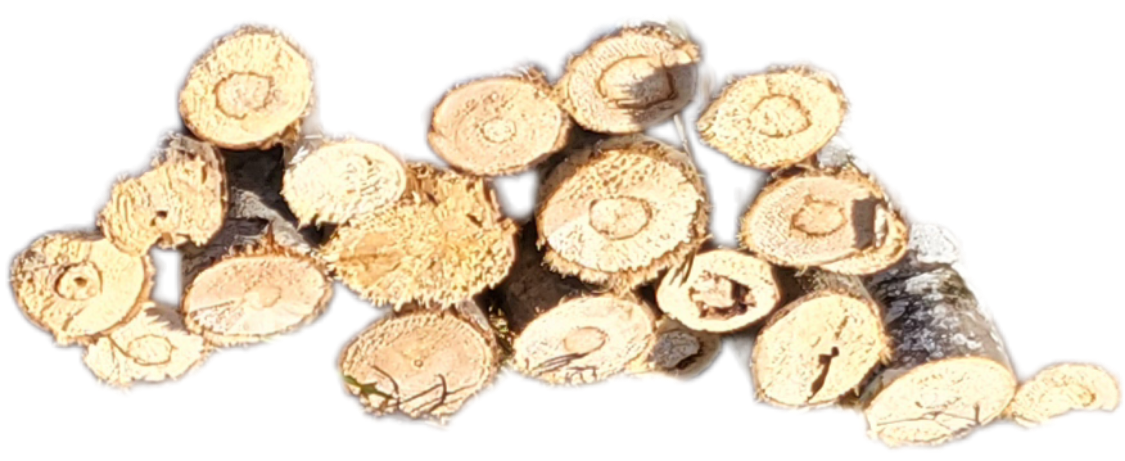 30mm to 80mm Balsawood Branches