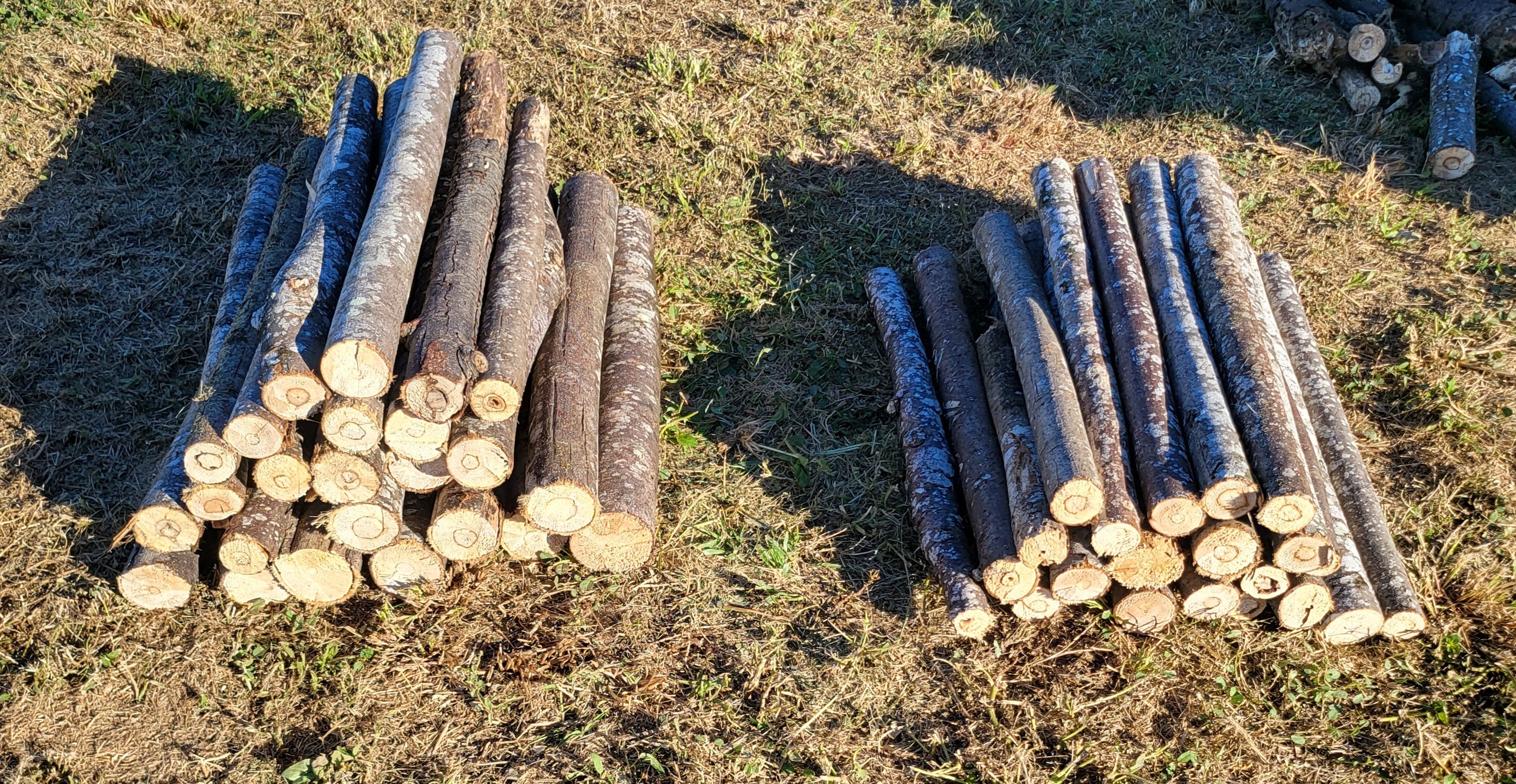 30mm to 80mm Balsawood Branches
