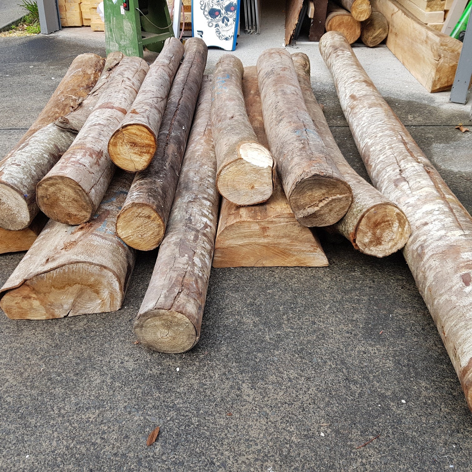 Raw balsa wood LOGS or trees or branches