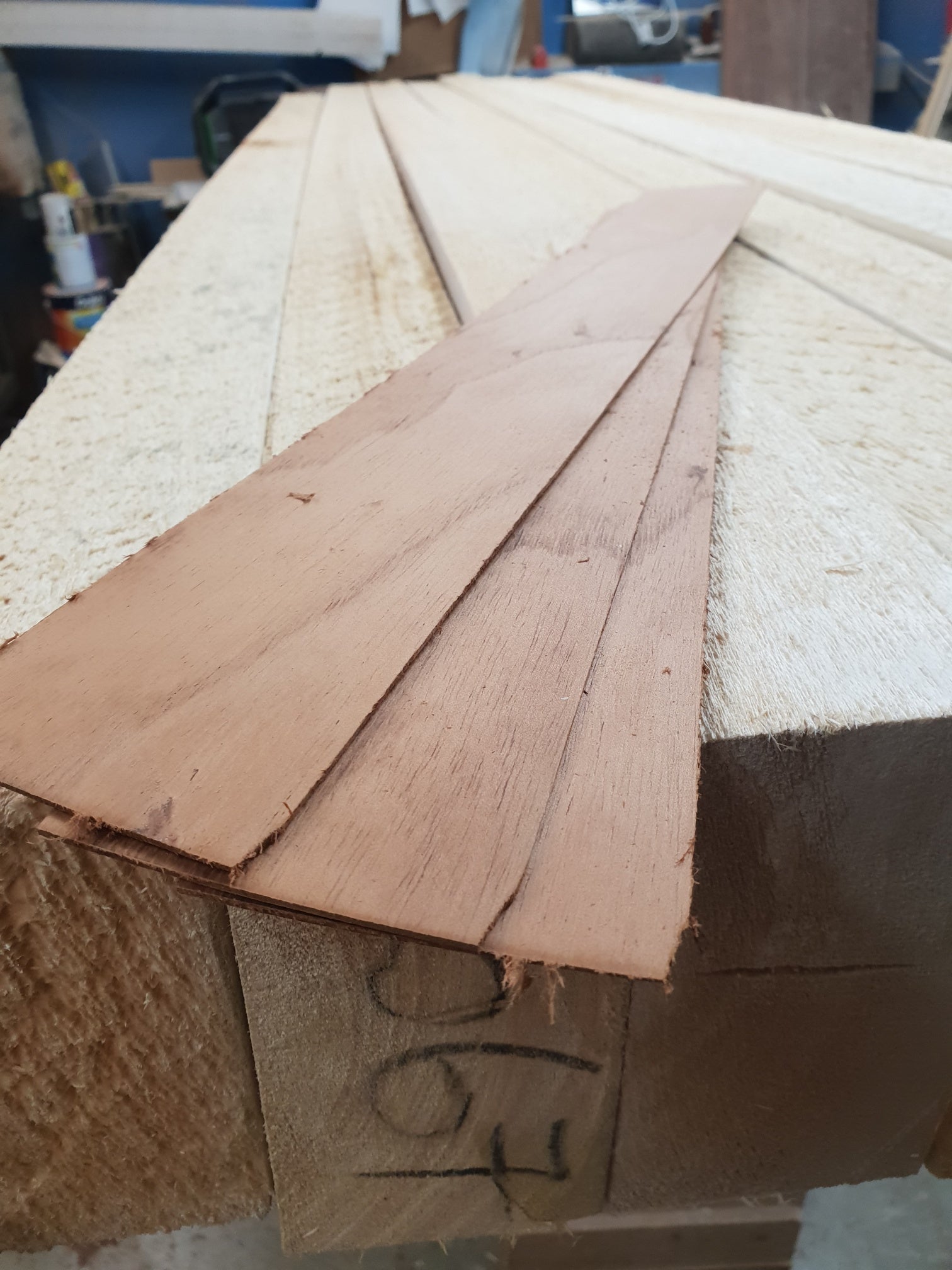 Australian Red Cedar