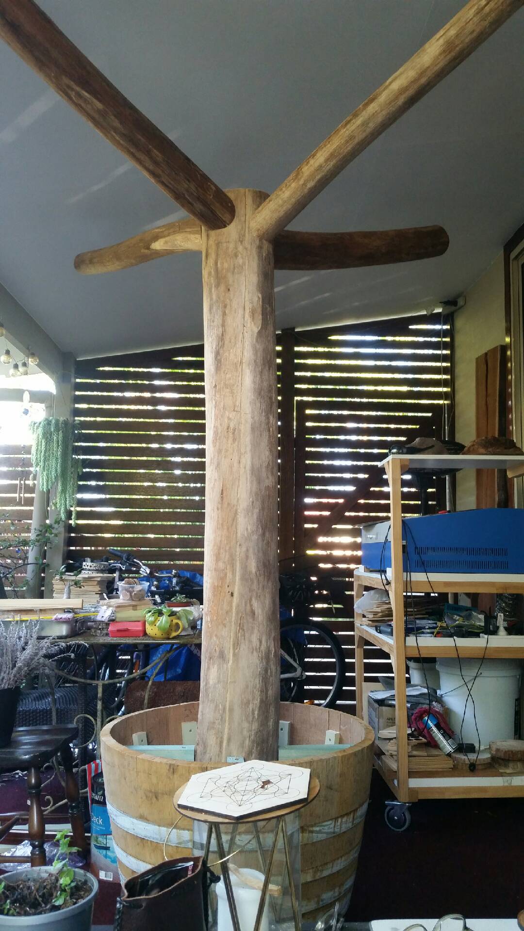 Raw balsa wood LOGS or trees or branches
