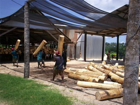 Travel to Papua New Guinea and build a balsa board
