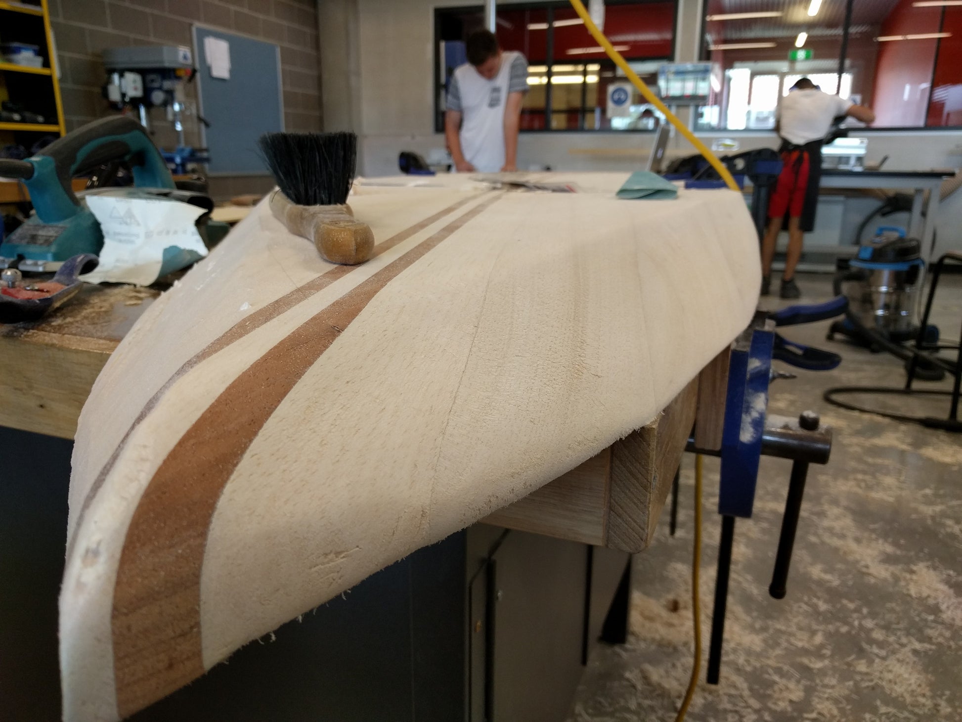 Australian Red Cedar