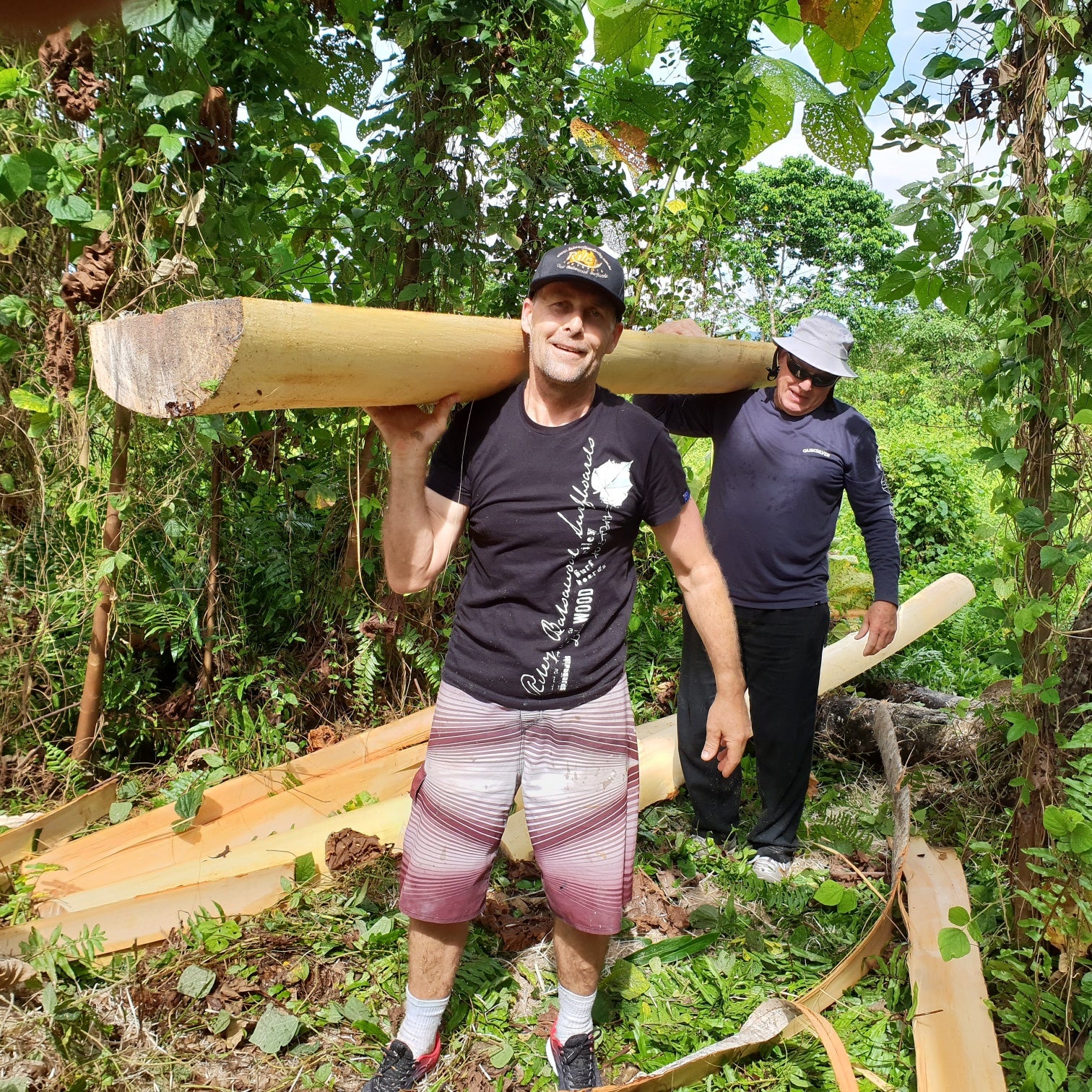 Raw balsa wood LOGS or trees or branches