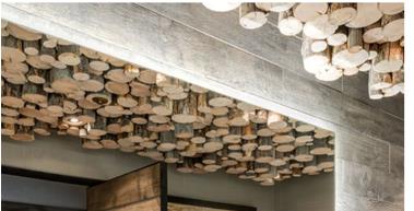 Raw balsa wood LOGS or trees or branches