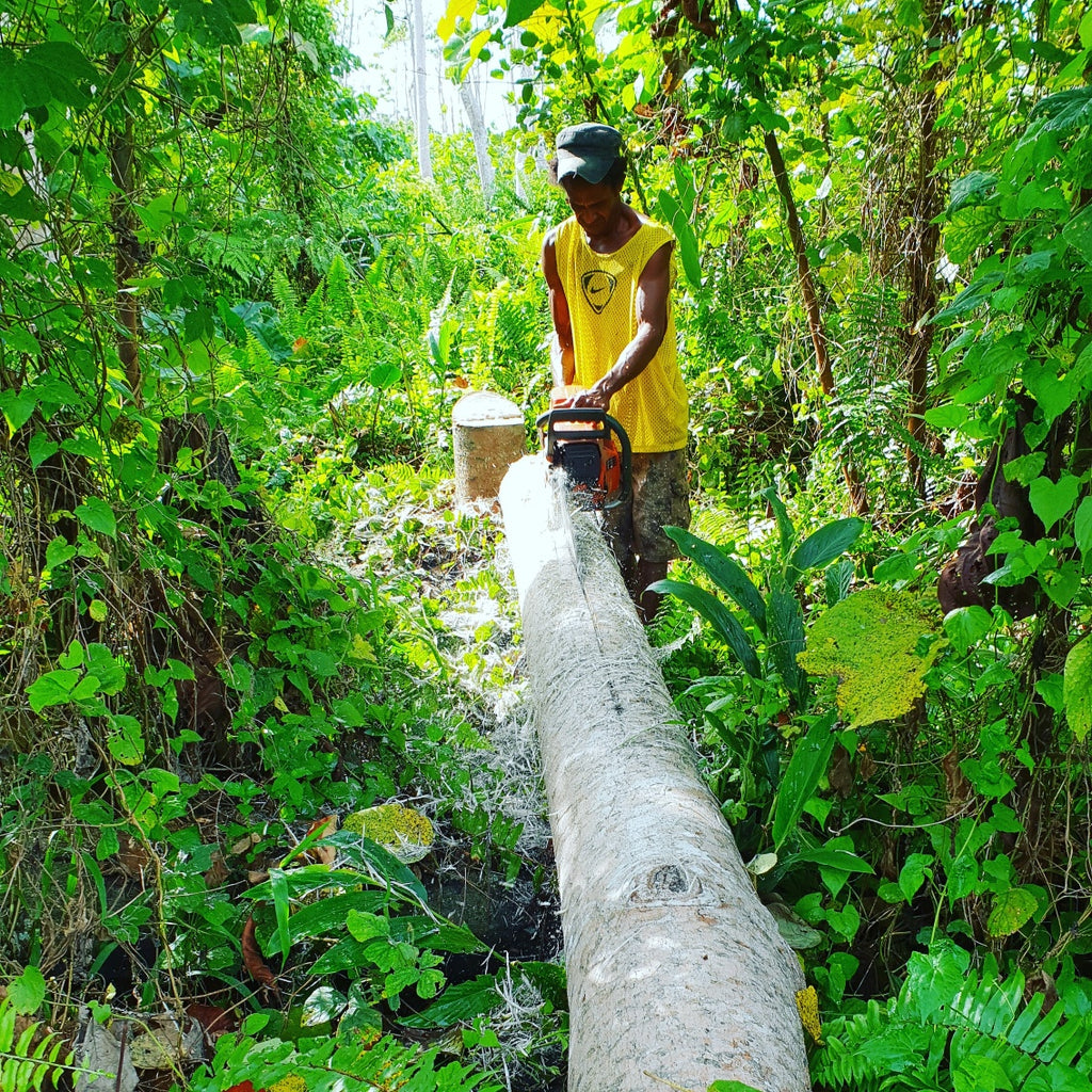 Raw balsa wood LOGS or trees or branches